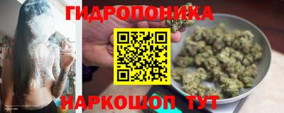 не бодяженный Будённовск