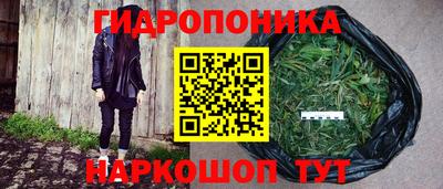 a pvp Бузулук