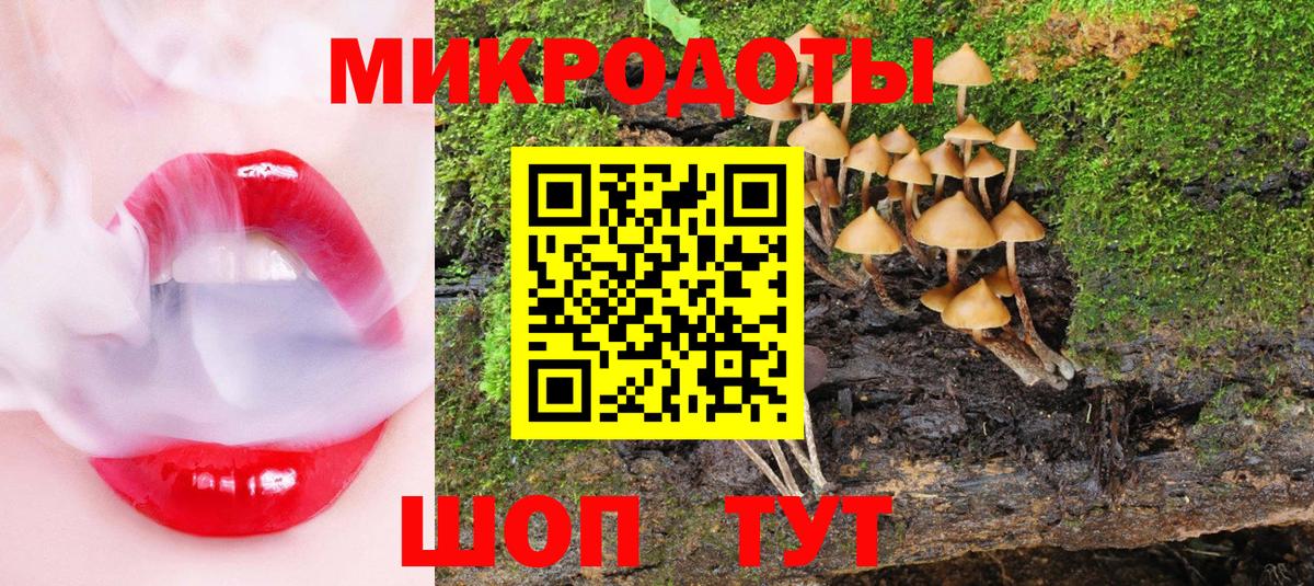 Галлюциногенные грибы MAGIC MUSHROOMS Великий Новгород
