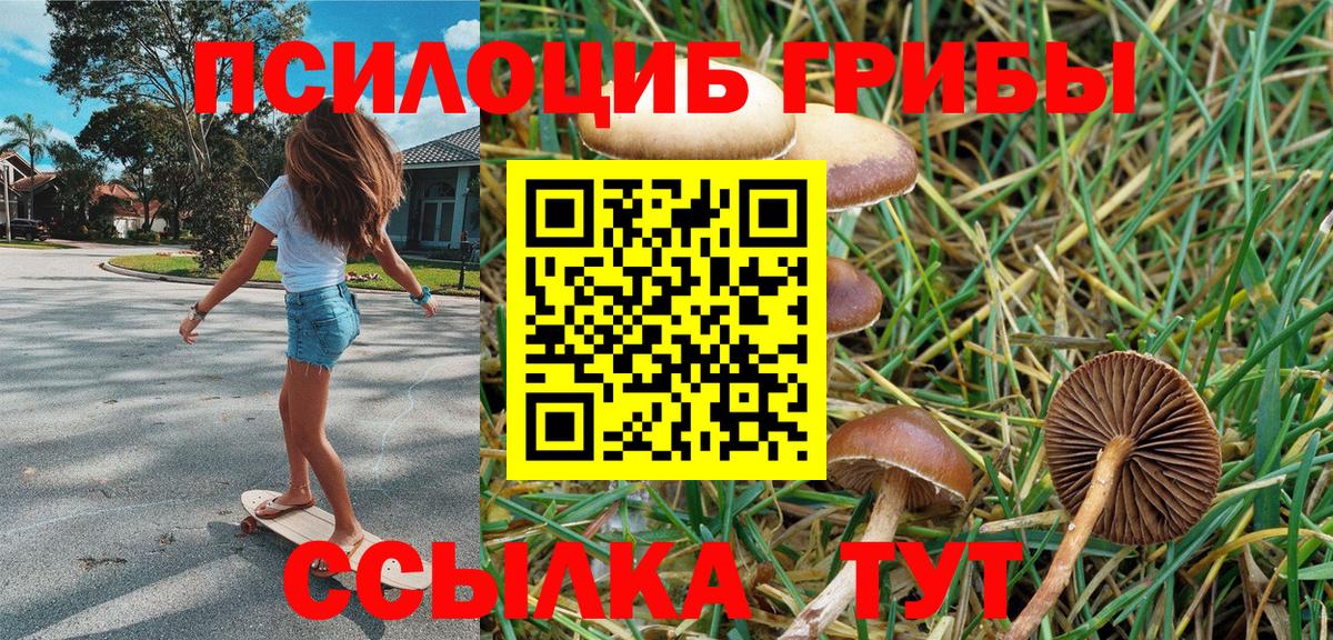 Меф Великий Новгород