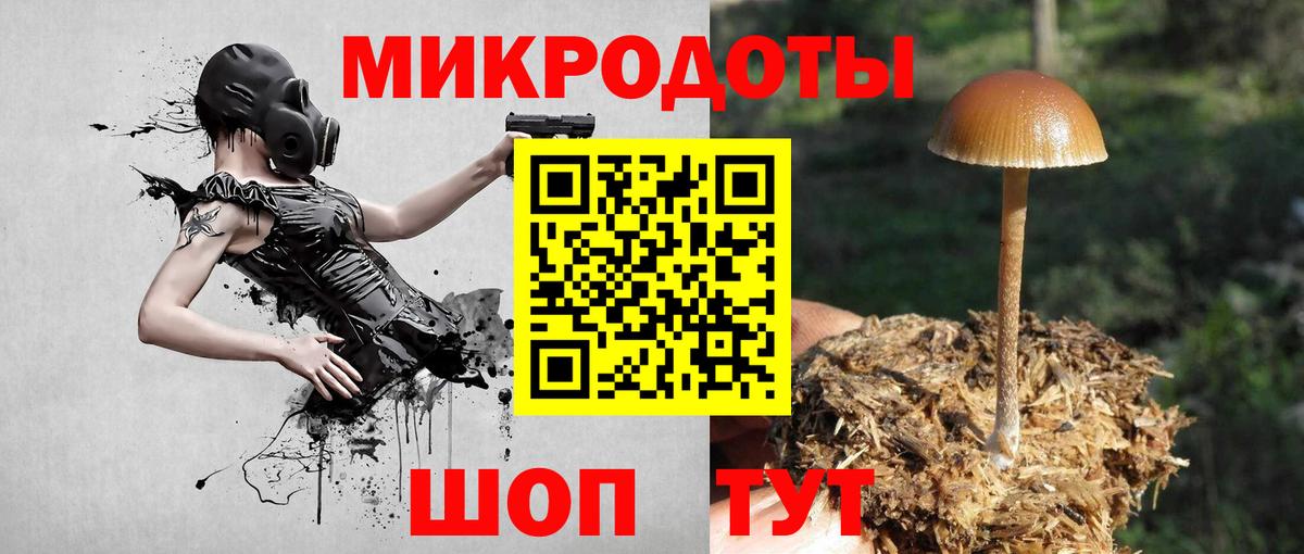 Галлюциногенные грибы ЛСД Великий Новгород