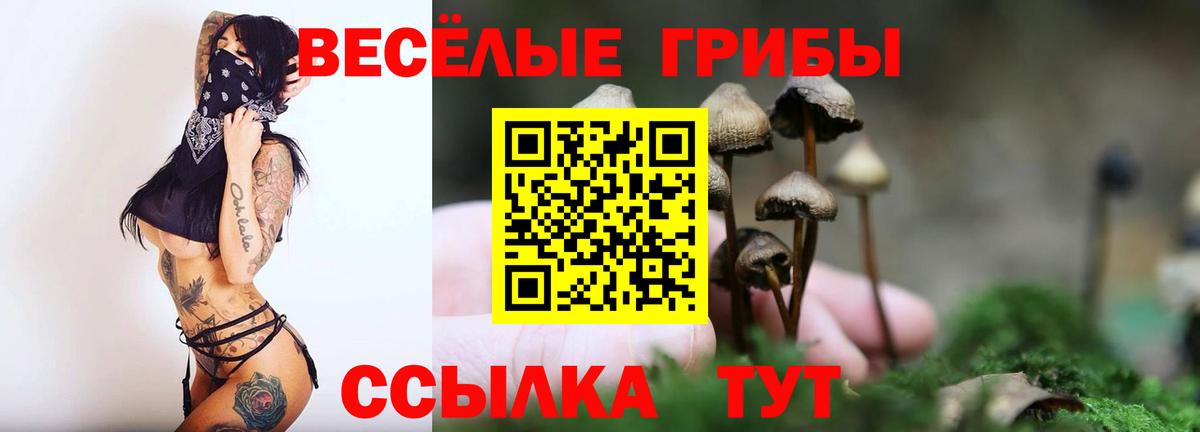 Псилоцибиновые грибы прущие грибы  Галлюциногенные грибы мицелий  купить  цена  Великий Новгород 